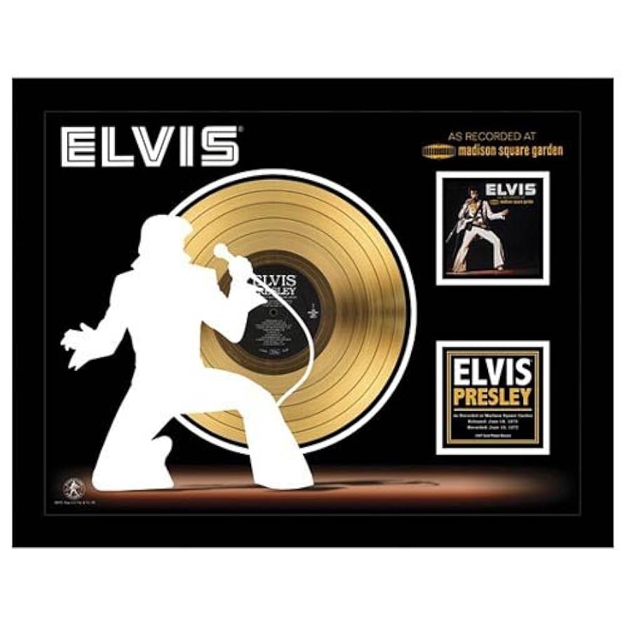 エルビスプレスリー　レコード　美品 レコード エルビスプレスリー プアボーイ ピクチャー盤 送料込み